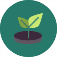 Ecology-Icons-02-150x150